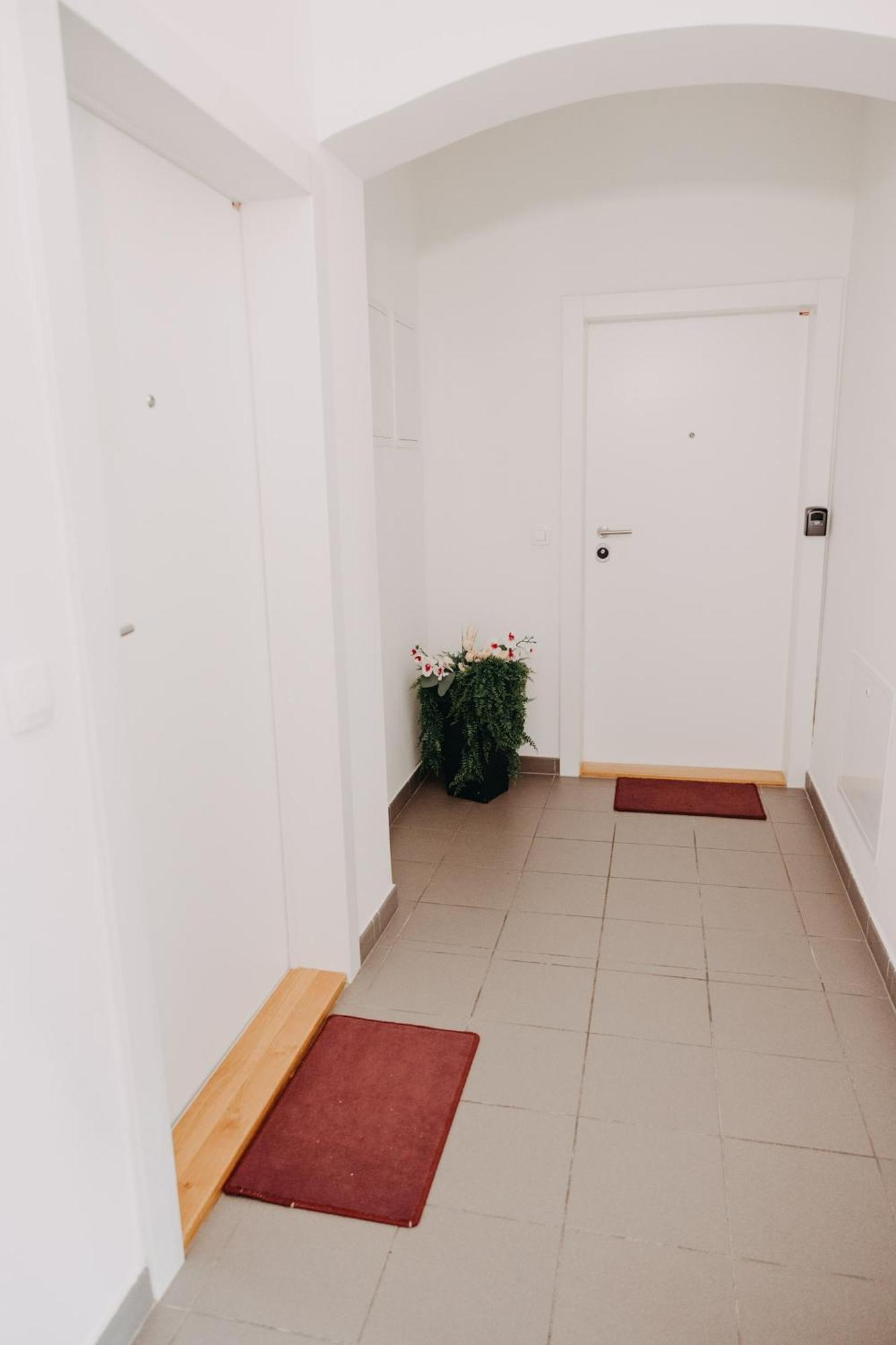 Apartments Miki'S 布莱德 外观 照片