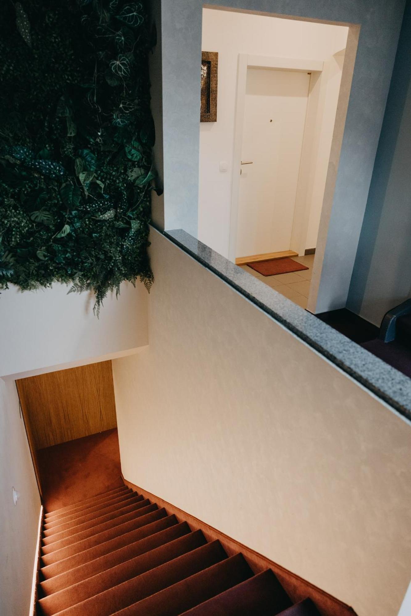 Apartments Miki'S 布莱德 外观 照片