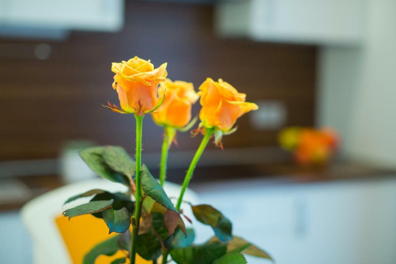 Apartments Miki'S 布莱德 外观 照片